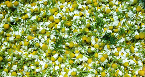 Similar image 707775