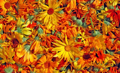 Similar image 707777