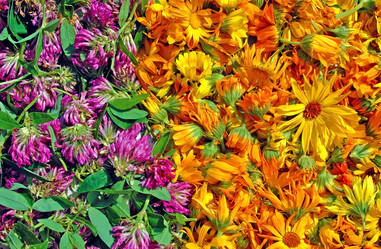 Similar image 707799