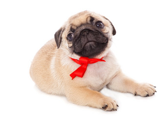 Similar image 707823