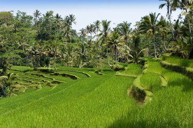 Similar image 707829