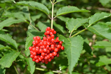 Similar image 707836