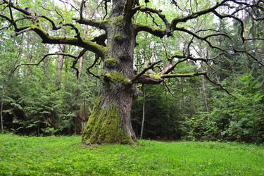 Similar image 707847