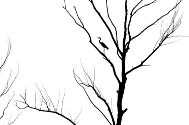 Similar image 707885