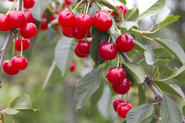 Similar image 707890