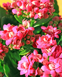 Similar image 707896