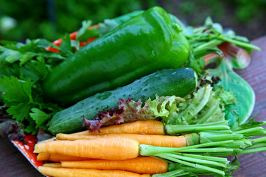 Similar image 707900