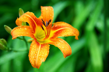 Similar image 707912