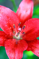 Similar image 707914