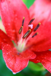 Similar image 707915