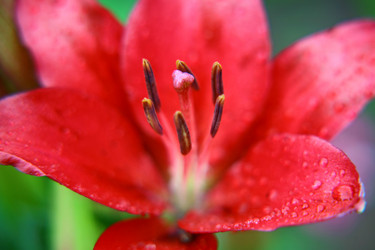 Similar image 707917