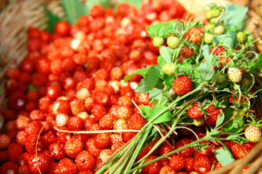 Similar image 707920