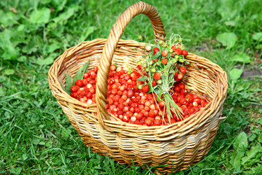 Similar image 707922