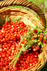 Similar image 707923