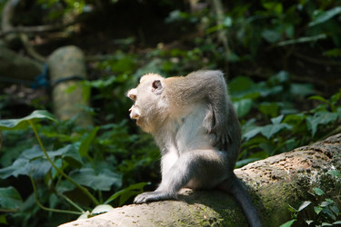 Similar image 707938