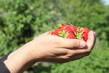 Similar image 707958