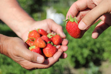 Similar image 707959