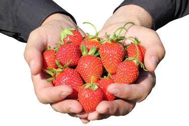 Similar image 707960