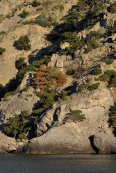 Similar image 708109