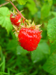 Similar image 708248