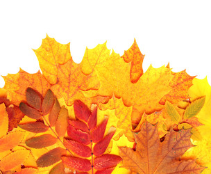 Similar image 708281