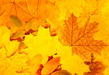 Similar image 708282