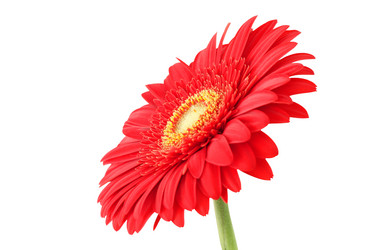 Similar image 708403