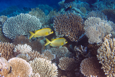 Similar image 708409