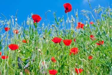 Similar image 708440