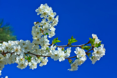 Similar image 708441