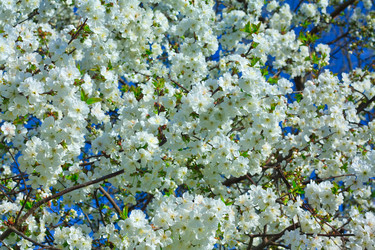 Similar image 708444