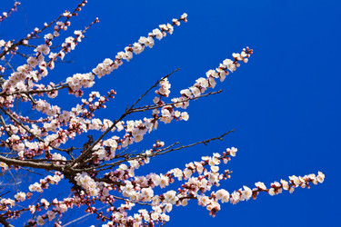 Similar image 708465