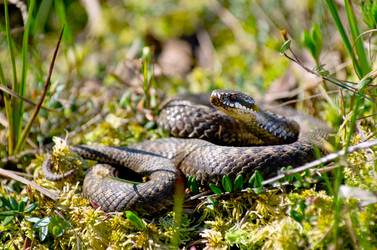 Similar image 708469