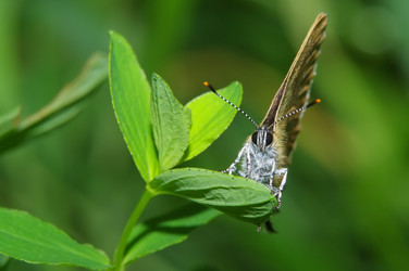 Similar image 708474