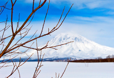 Similar image 708483