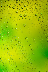 Similar image 708504