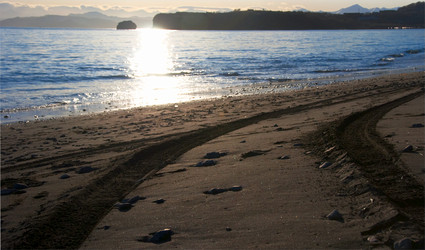 Similar image 708529