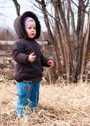 Similar image 708541