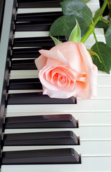 Similar image 708558