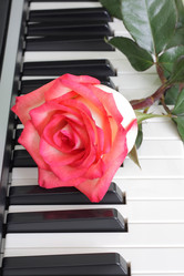 Similar image 708559