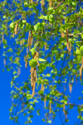 Similar image 708571