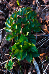 Similar image 708577