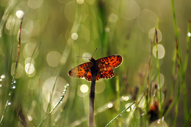 Similar image 708581