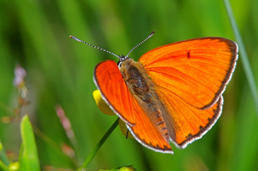 Similar image 708582