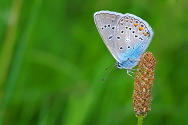 Similar image 708583