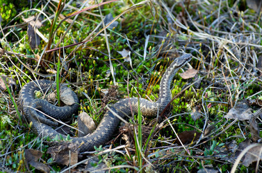 Similar image 708587