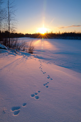 Similar image 708590