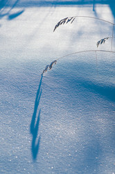 Similar image 708593