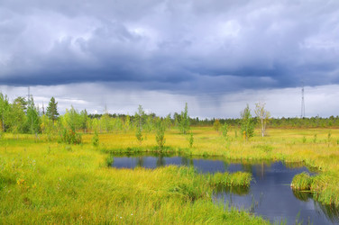 Similar image 708594