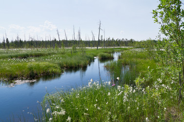 Similar image 708597